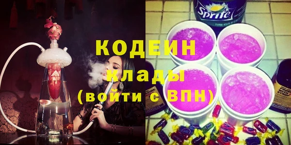 ECSTASY Алзамай