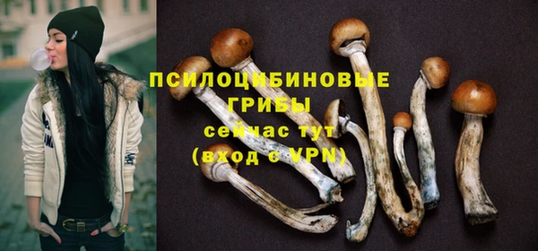 ECSTASY Алзамай